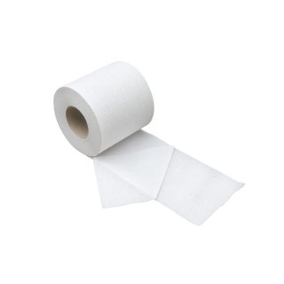 CleanSV© Toilettenpapier 2 lagig, 192 Rollen x 250 Blatt, recycling